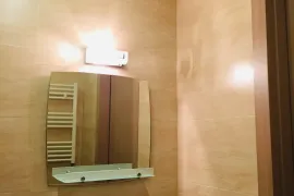 Аренда, 1 Kомнатная, Новостройка, Тбилиси, Vazisubani