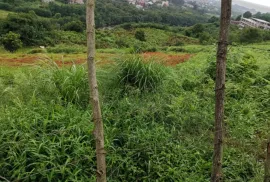 Продается Земля, Сельскохозяйственные, Капрешуми