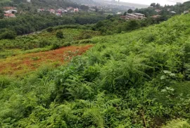 Продается Земля, Сельскохозяйственные, Капрешуми