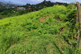 Продается Земля, Сельскохозяйственные, Капрешуми