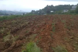 Продается Земля, Сельскохозяйственные, Капрешуми