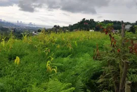 Продается Земля, Сельскохозяйственные, Капрешуми