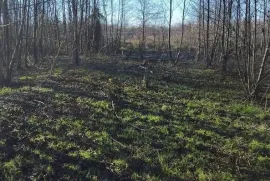 იყიდება მიწის ნაკვეთი, სასოფლო - სამეურნეო, შეკვეთილი