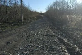 Land For Sale, Agricultural, Shekvetili