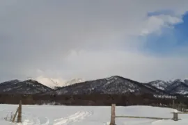 Land For Sale, Non Agricultural, Tsikhisjvari 