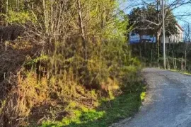 Продается Земля, Сельскохозяйственные, Ортабатуми