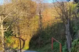 Продается Земля, Сельскохозяйственные, Ортабатуми