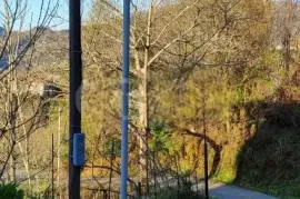 Продается Земля, Сельскохозяйственные, Ортабатуми