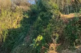 Продается Земля, Сельскохозяйственные, Ортабатуми