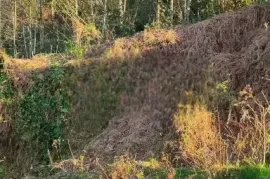 Продается Земля, Сельскохозяйственные, Ортабатуми