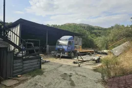 Land For Sale, Agricultural, Zahesi