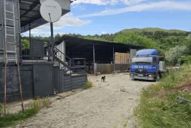 Land For Sale, Agricultural, Zahesi