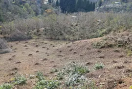 Land For Sale, Agricultural, Tsinsvla, Chelta