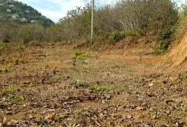 Land For Sale, Agricultural, Tsinsvla, Chelta