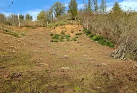 Land For Sale, Agricultural, Tsinsvla, Chelta