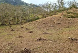 Land For Sale, Agricultural, Tsinsvla, Chelta