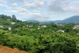 Land For Sale, Agricultural, Tsinsvla, Chelta