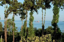 Продается квартира, 1 Kомнатная, Новостройка, Батуми