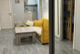 Аренда, 2 Kомнатная, Новостройка, Боржомский район, Бакуриани