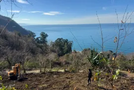 იყიდება მიწის ნაკვეთი, სასოფლო - სამეურნეო, კვარიათი 