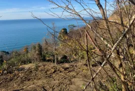 იყიდება მიწის ნაკვეთი, სასოფლო - სამეურნეო, კვარიათი 