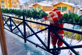 Daily Rent, 4 Room, Borjomi , Bakuriani