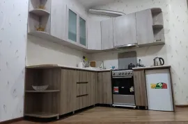 Аренда, 1 Kомнатная, Новостройка, Тбилиси, vake