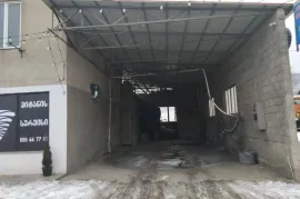 For Rent, Special, Dzegvi