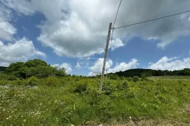 Land For Sale, Agricultural, Pantiani 