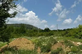 Land For Sale, Agricultural, Pantiani 