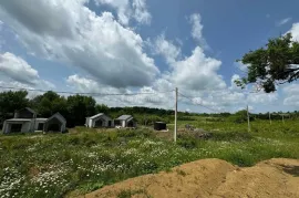 Land For Sale, Agricultural, Pantiani 