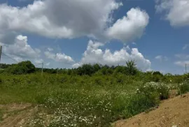 Land For Sale, Agricultural, Pantiani 