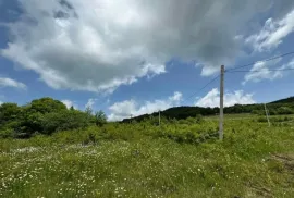 Land For Sale, Agricultural, Pantiani 