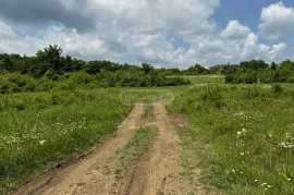 Land For Sale, Agricultural, Pantiani 