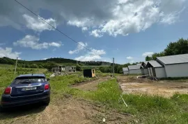 Land For Sale, Agricultural, Pantiani 