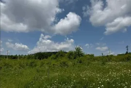 Land For Sale, Agricultural, Pantiani 