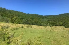 Land For Sale, Agricultural, Khotevi