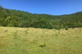 Land For Sale, Agricultural, Khotevi