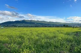 Land For Sale, Agricultural, Natakhari