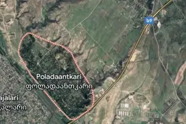 იყიდება მიწის ნაკვეთი, სასოფლო - სამეურნეო