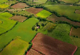 სასოფლო და არასასოფლო მიწა: ძირითადი განსხვავებები