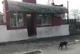 Аренда, Торговая , Сагория