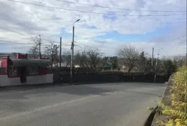 Аренда, Торговая , Сагория