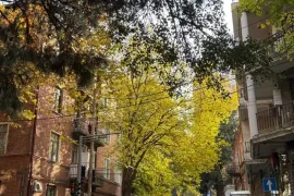 For Rent, 3 Room, Old building, Tbilisi, vake