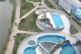 იყიდება ბინა, 2 ოთახიანი, ახალი აშენებული, ბათუმი, რუსთაველის უბანი