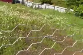 Land For Sale, Bostana 