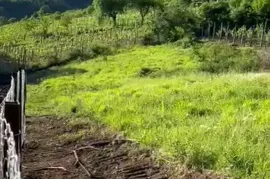 Land For Sale, Bostana 