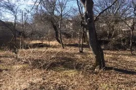 იყიდება მიწის ნაკვეთი, სასოფლო - სამეურნეო, შინდისი