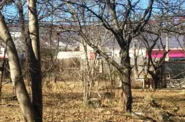 იყიდება მიწის ნაკვეთი, სასოფლო - სამეურნეო, შინდისი