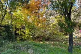 House For Sale, 8 Room, Suburbs of Tbilisi, Tskneti